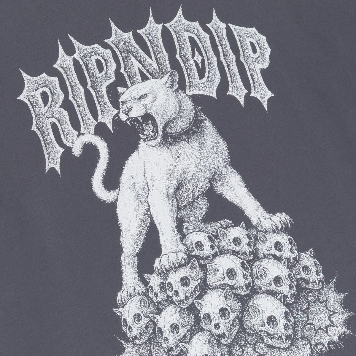 RIPNDIP Polera Wasteland - Carbón Vegetal
